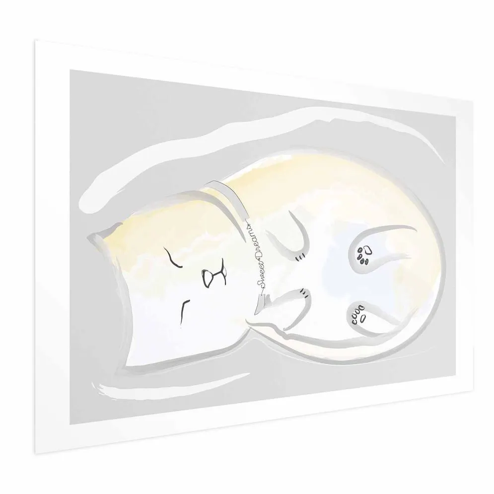 Plakat Śpiący kotek 60x40 cm bez ramy z marginesem | MIRAT.