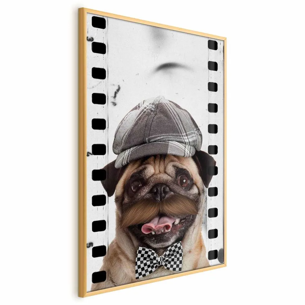 Plakat Mops w czapce 29,7x42 cm z ramą złotą bez marginesu | MIRAT.
