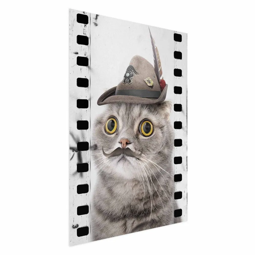 Plakat Kot w kapeluszu 21x30 cm bez ramy bez marginesu | MIRAT.