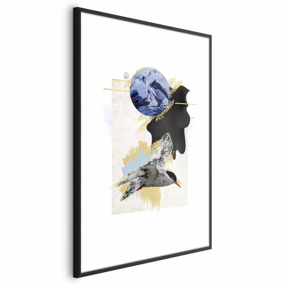 Plakat Rybitwa antarktyczna 40x60 cm z ramą czarną z marginesem | MIRAT.