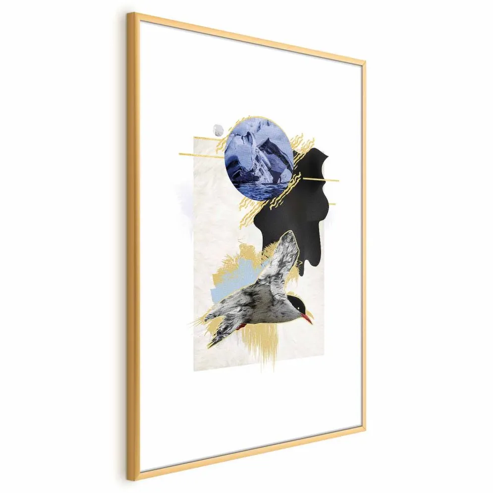 Plakat Rybitwa antarktyczna 60x90 cm z ramą złotą z marginesem | MIRAT.