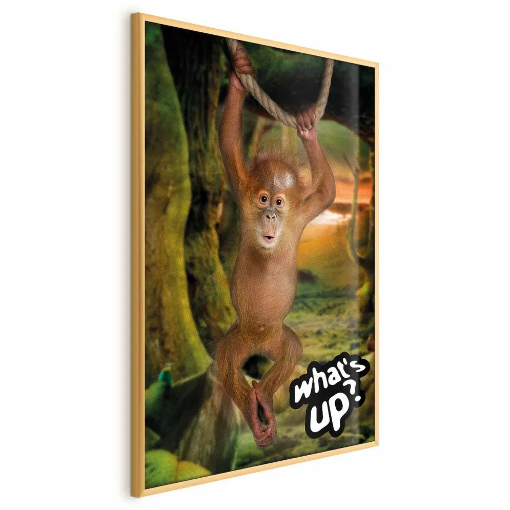 Plakat What's Up 29,7x42 cm z ramą złotą bez marginesu | MIRAT.