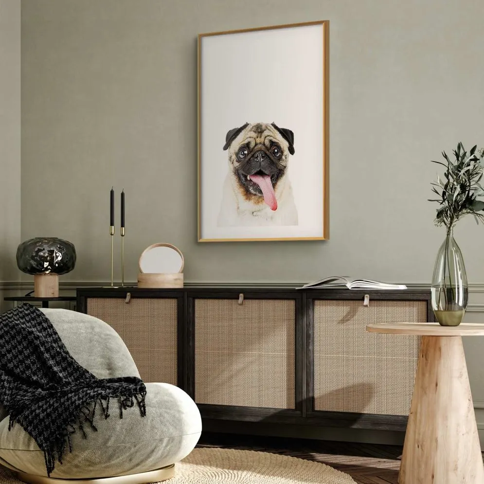 Plakat Mops 21x30 cm z ramą złotą z marginesem | MIRAT.