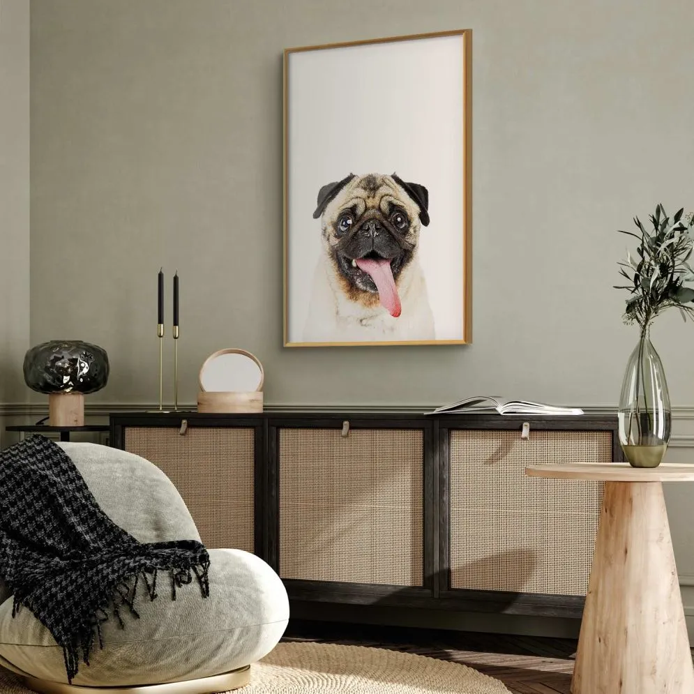 Plakat Mops 60x90 cm z ramą złotą bez marginesu | MIRAT.
