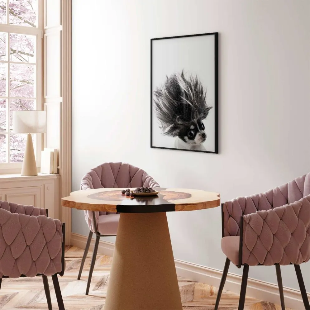 Plakat Chihuahua 60x90 cm z ramą czarną bez marginesu | MIRAT.