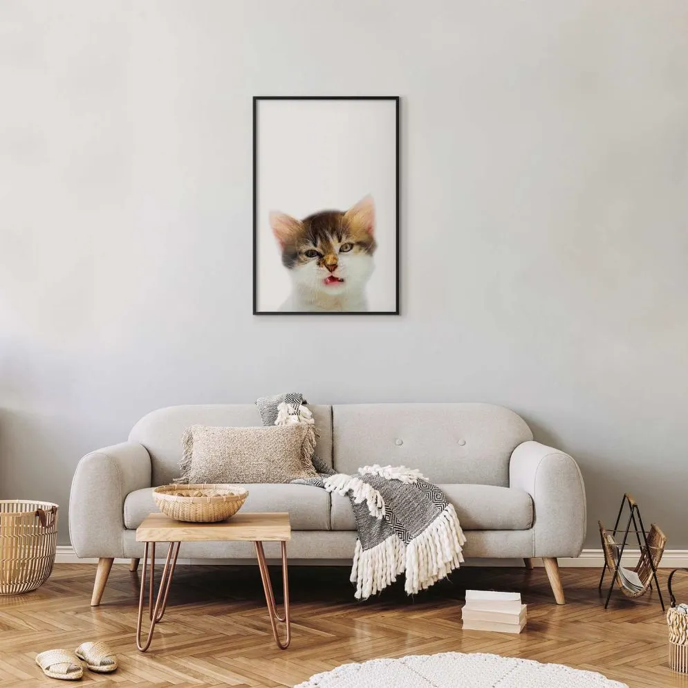 Plakat Zirytowany kot 29,7x42 cm z ramą czarną bez marginesu | MIRAT.