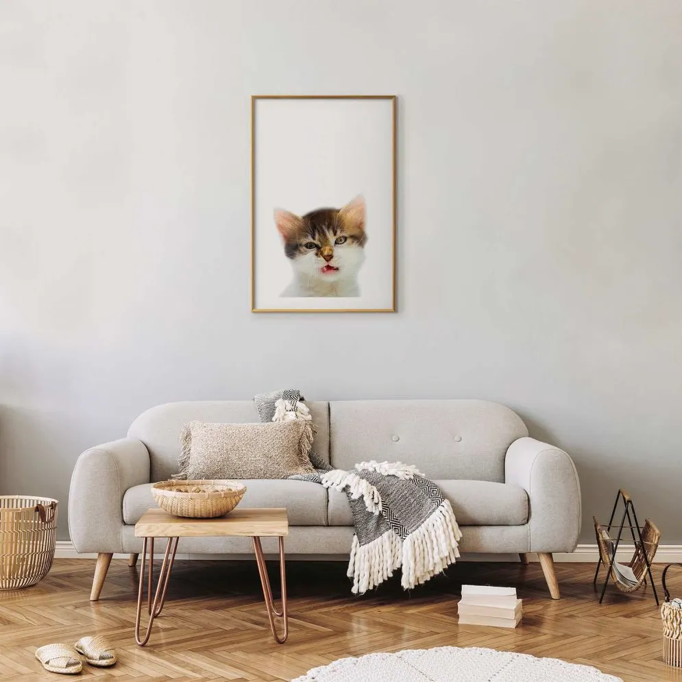Plakat Zirytowany kot 60x90 cm z ramą złotą z marginesem | MIRAT.