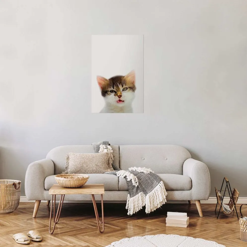 Plakat Zirytowany kot 29,7x42 cm bez ramy bez marginesu | MIRAT.