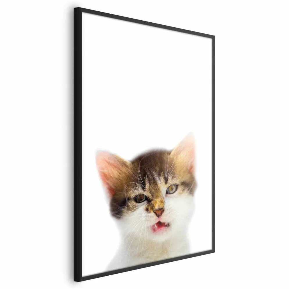 Plakat Zirytowany kot 29,7x42 cm z ramą czarną bez marginesu | MIRAT.