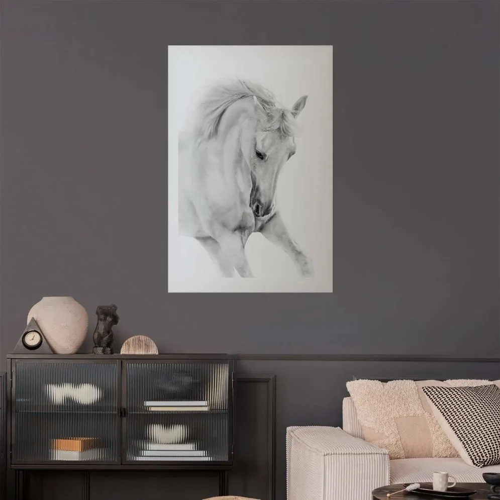 Plakat Biały koń 21x30 cm bez ramy z marginesem | MIRAT.