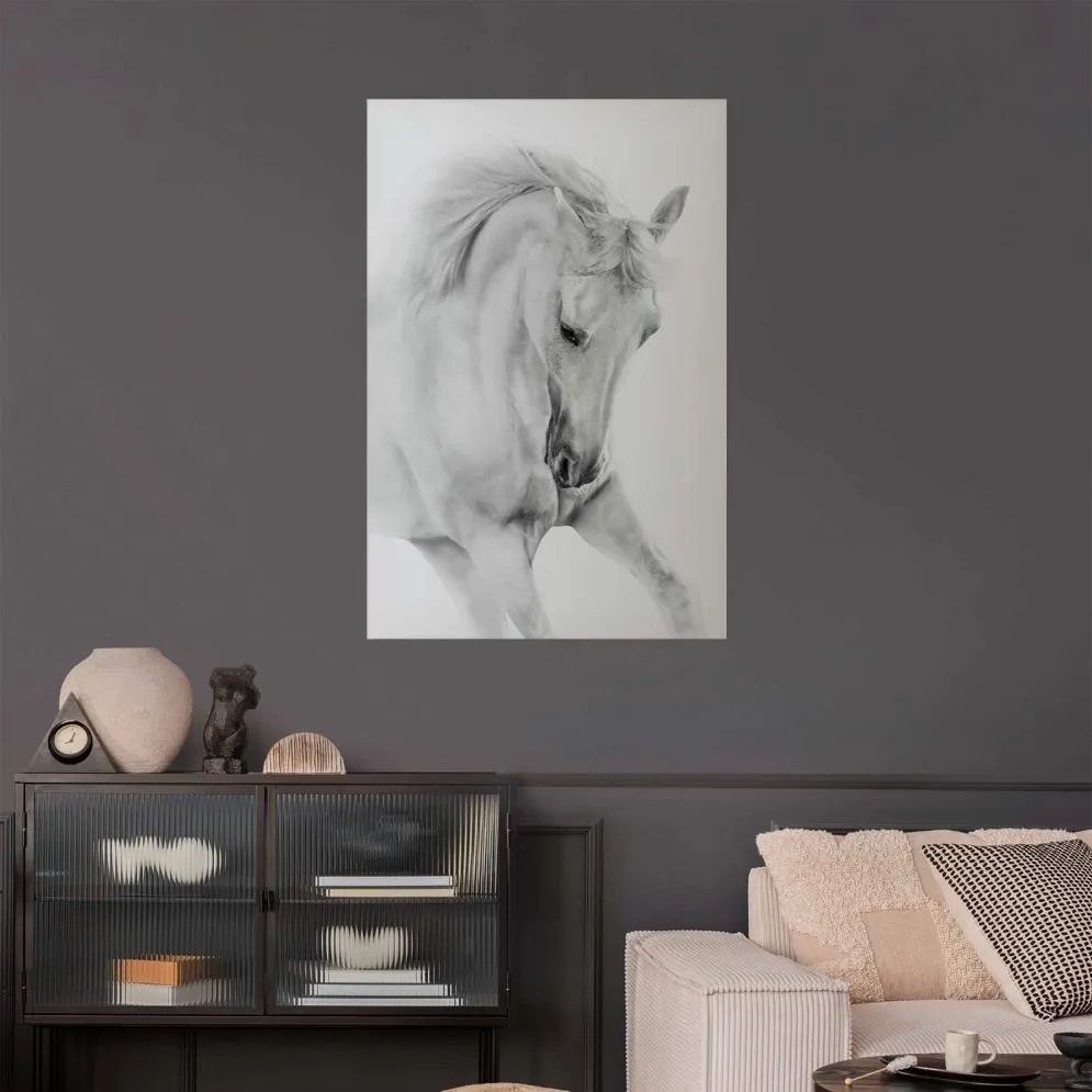 Plakat Biały koń 40x60 cm bez ramy bez marginesu | MIRAT.