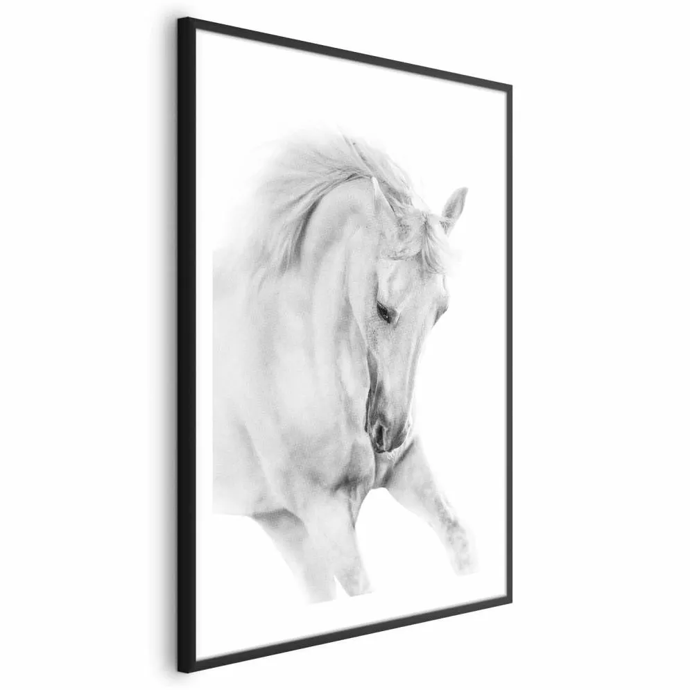 Plakat Biały koń 40x60 cm z ramą czarną z marginesem | MIRAT.