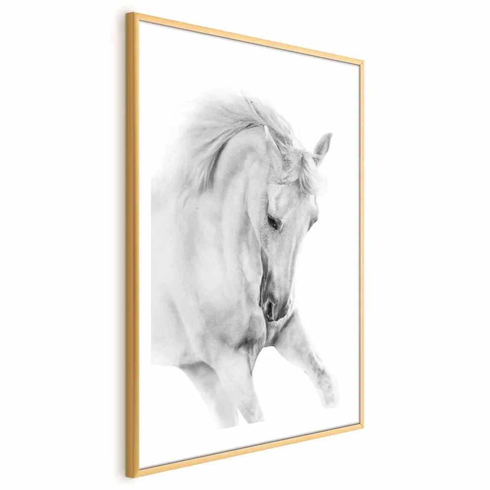 Plakat Biały koń 29,7x42 cm z ramą złotą z marginesem | MIRAT.