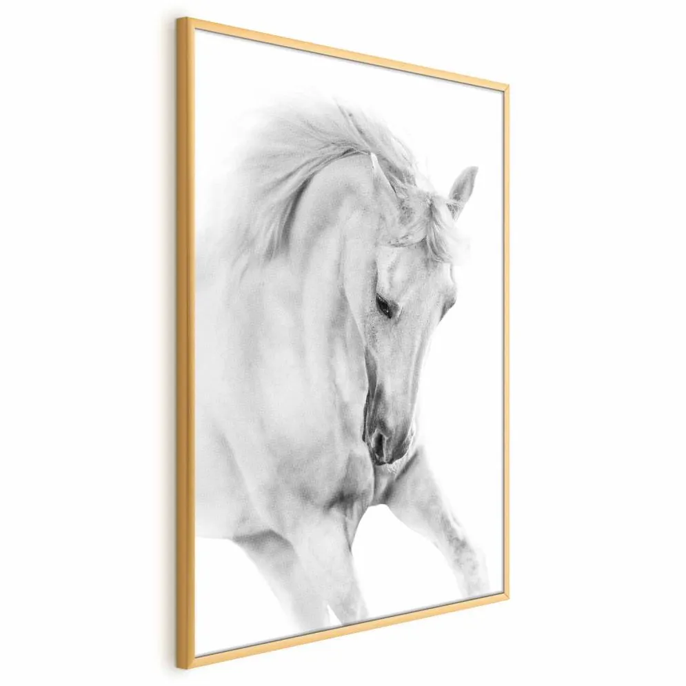 Plakat Biały koń 40x60 cm z ramą złotą bez marginesu | MIRAT.