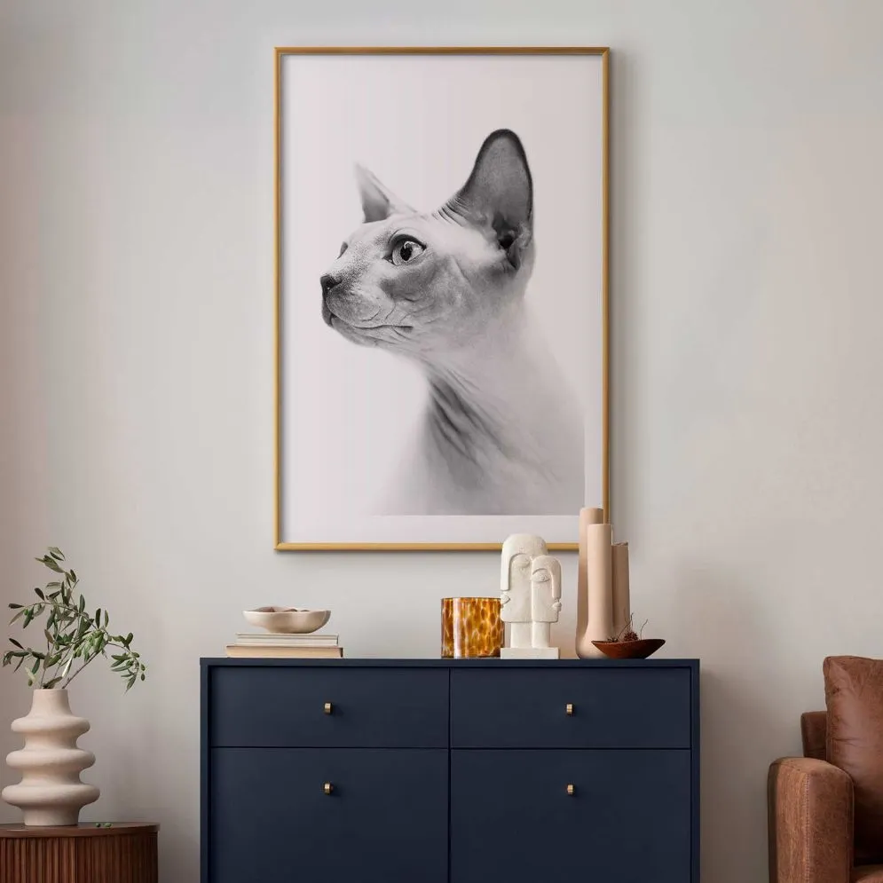 Plakat bezwłosy kot 21x30 cm z ramą złotą z marginesem | MIRAT.