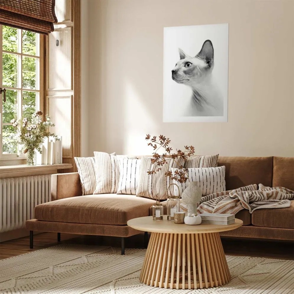 Plakat bezwłosy kot 21x30 cm bez ramy z marginesem | MIRAT.