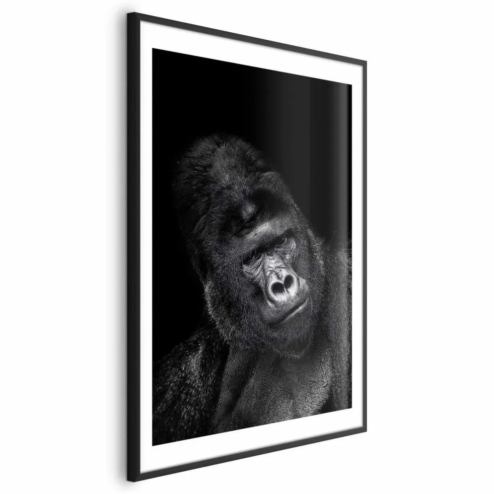 Plakat Goryl 29,7x42 cm z ramą czarną z marginesem | MIRAT.