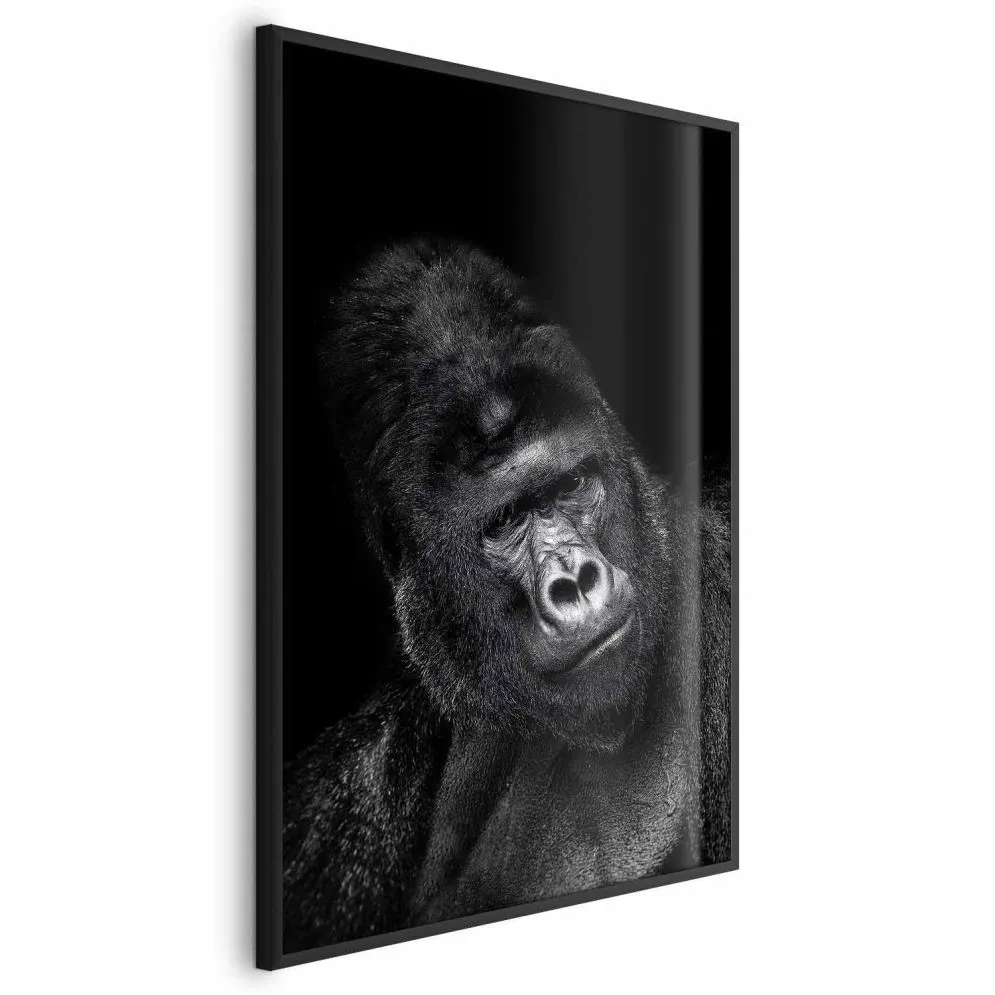 Plakat Goryl 40x60 cm z ramą czarną bez marginesu | MIRAT.