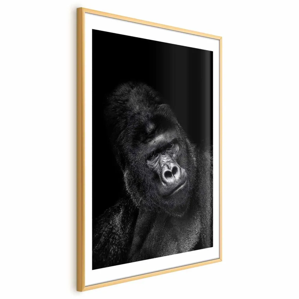 Plakat Goryl 29,7x42 cm z ramą złotą z marginesem | MIRAT.