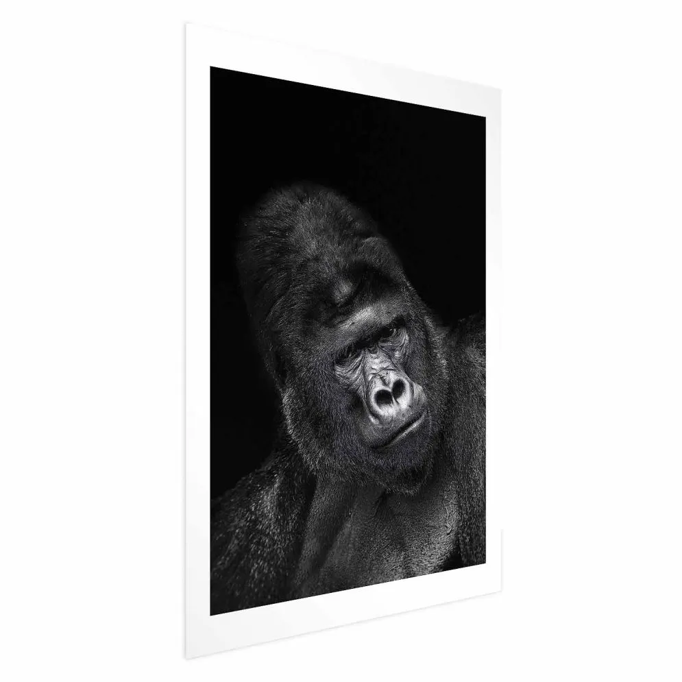 Plakat Goryl 60x90 cm bez ramy z marginesem | MIRAT.
