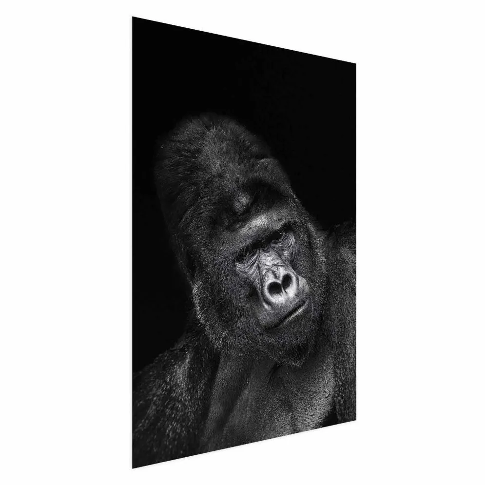 Plakat Goryl 60x90 cm bez ramy bez marginesu | MIRAT.