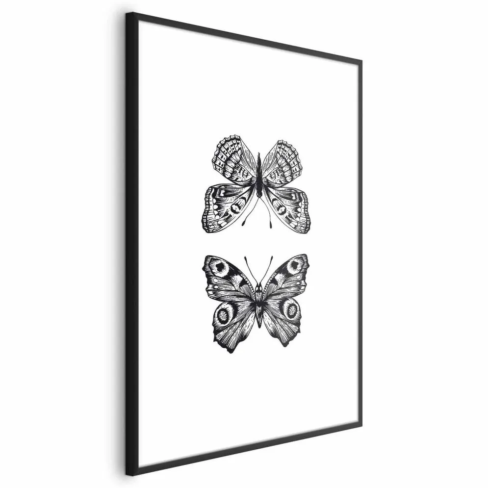 Plakat Dwa motyle 60x90 cm z ramą czarną bez marginesu | MIRAT.