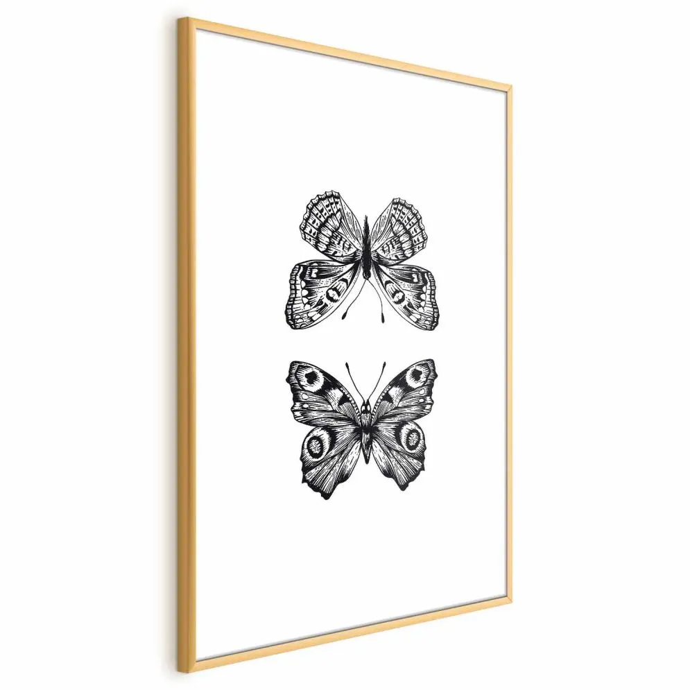 Plakat Dwa motyle 21x30 cm z ramą złotą bez marginesu | MIRAT.