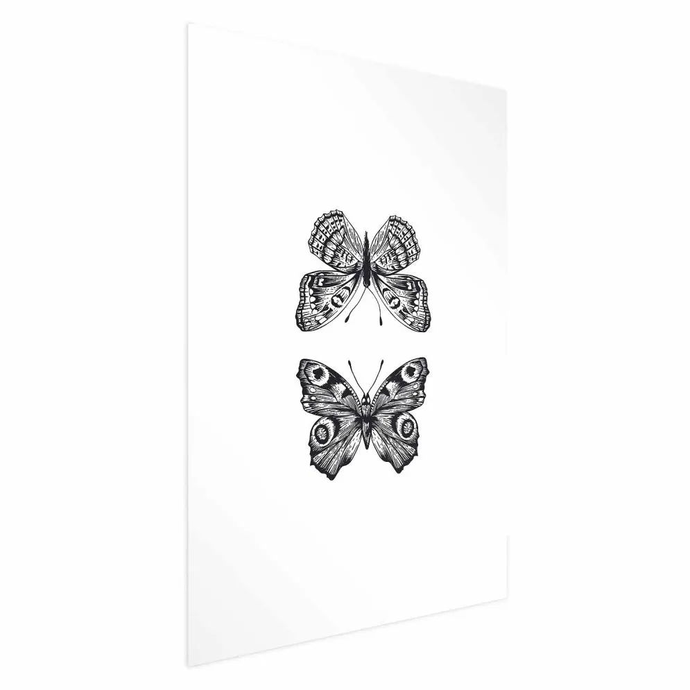 Plakat Dwa motyle 60x90 cm bez ramy z marginesem | MIRAT.