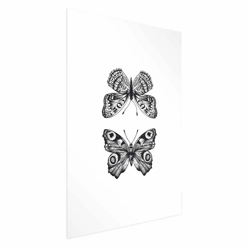 Plakat Dwa motyle 60x90 cm bez ramy bez marginesu | MIRAT.