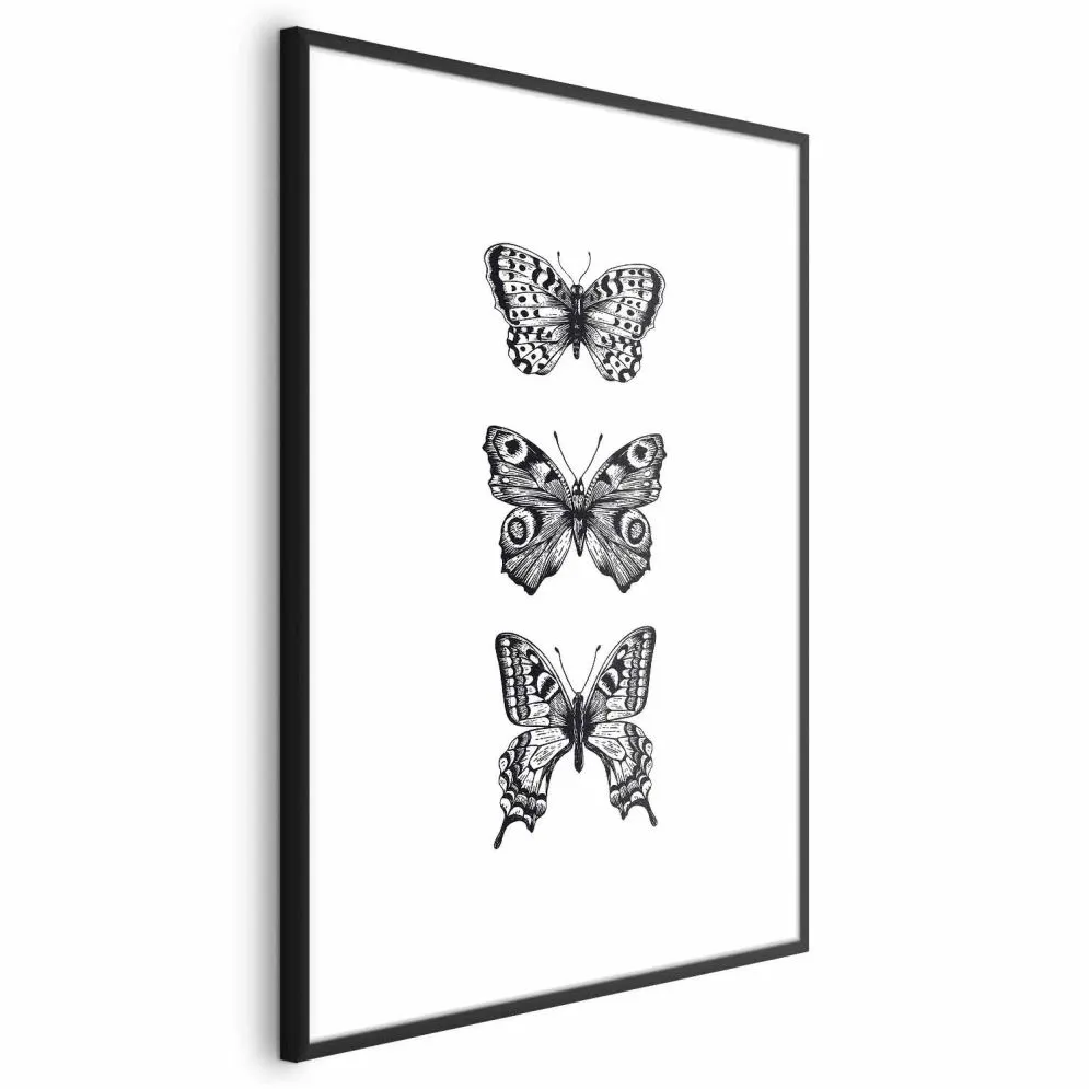 Plakat Trzy motyle 21x30 cm z ramą czarną z marginesem | MIRAT.