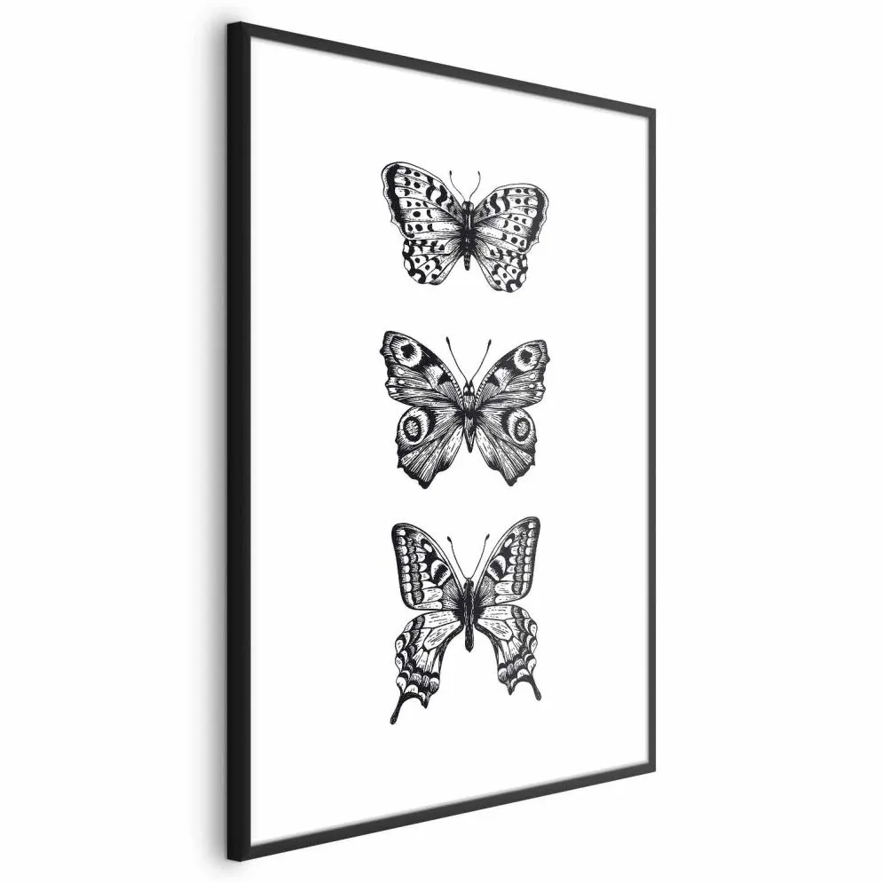 Plakat Trzy motyle 60x90 cm z ramą czarną bez marginesu | MIRAT.