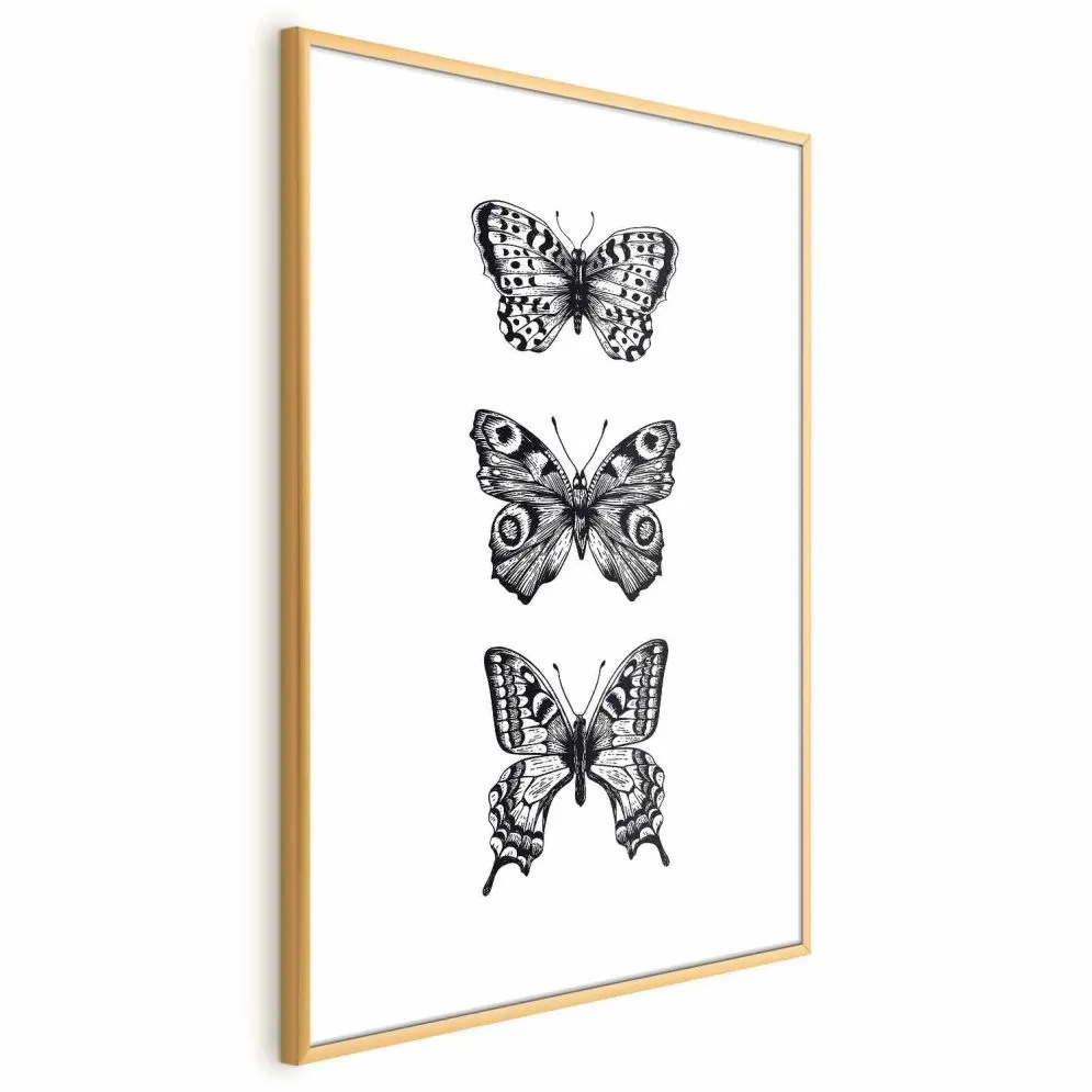 Plakat Trzy motyle 29,7x42 cm z ramą złotą bez marginesu | MIRAT.