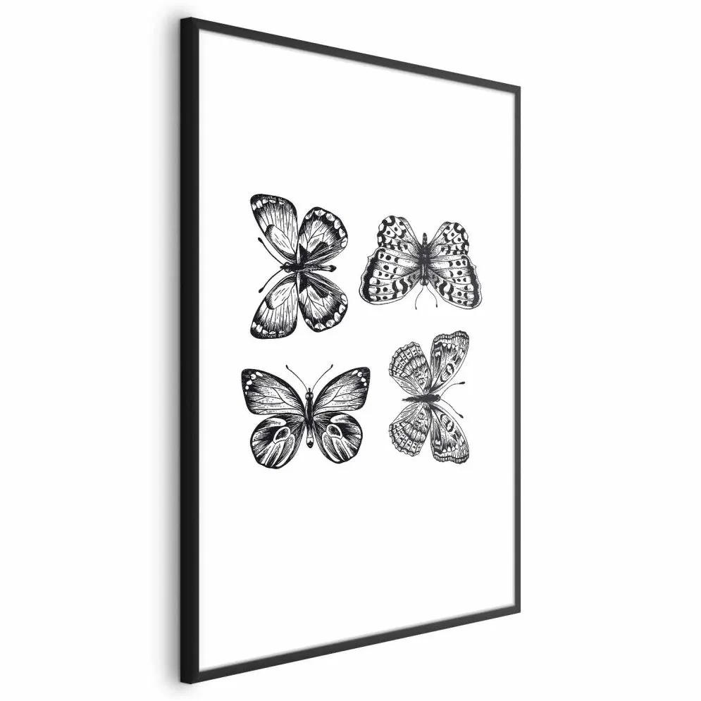 Plakat Cztery motyle 40x60 cm z ramą czarną bez marginesu | MIRAT.