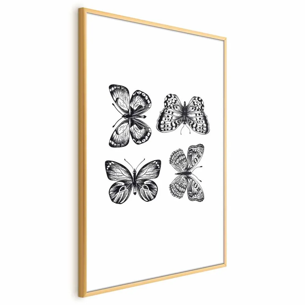 Plakat Cztery motyle 60x90 cm z ramą złotą bez marginesu | MIRAT.