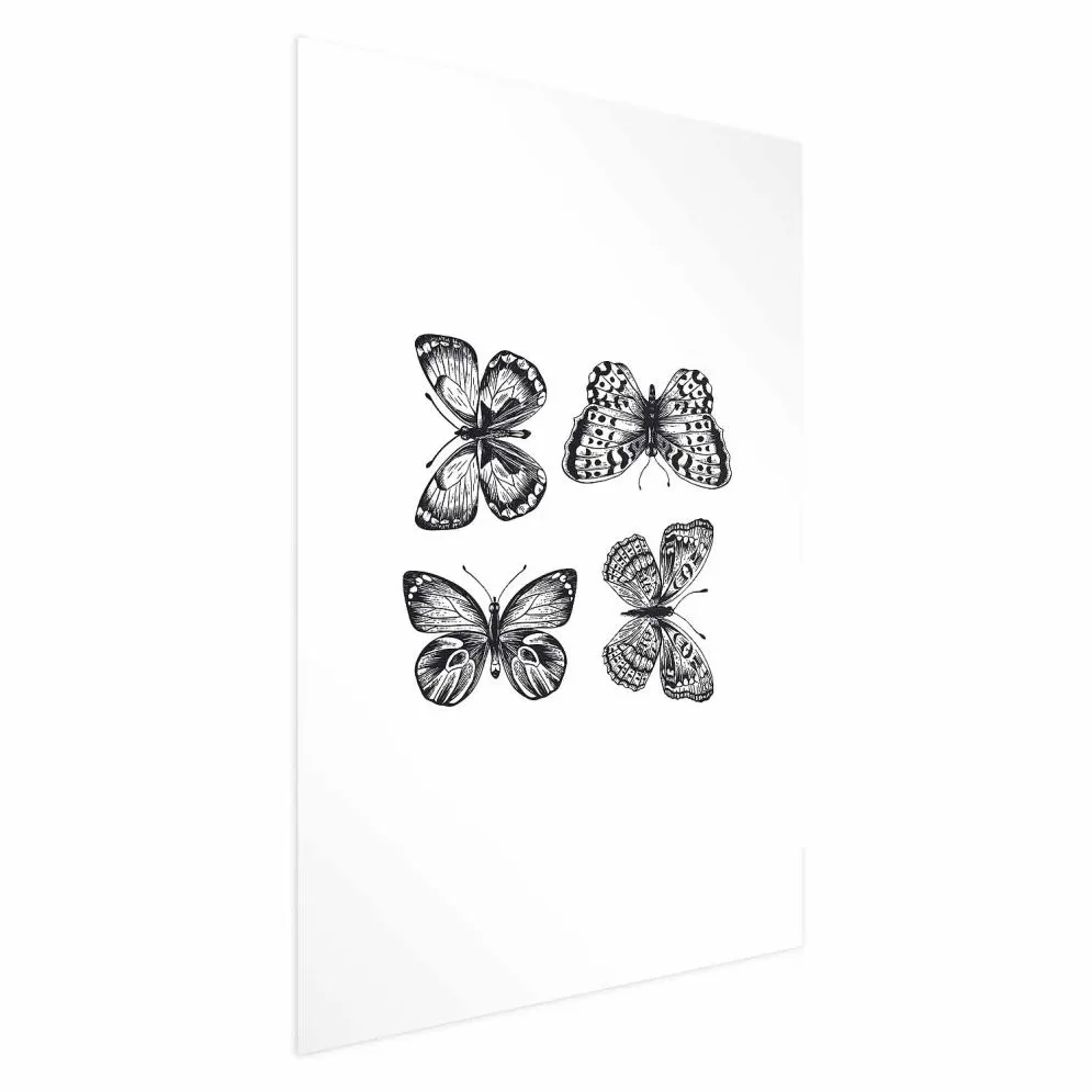 Plakat Cztery motyle 40x60 cm bez ramy z marginesem | MIRAT.