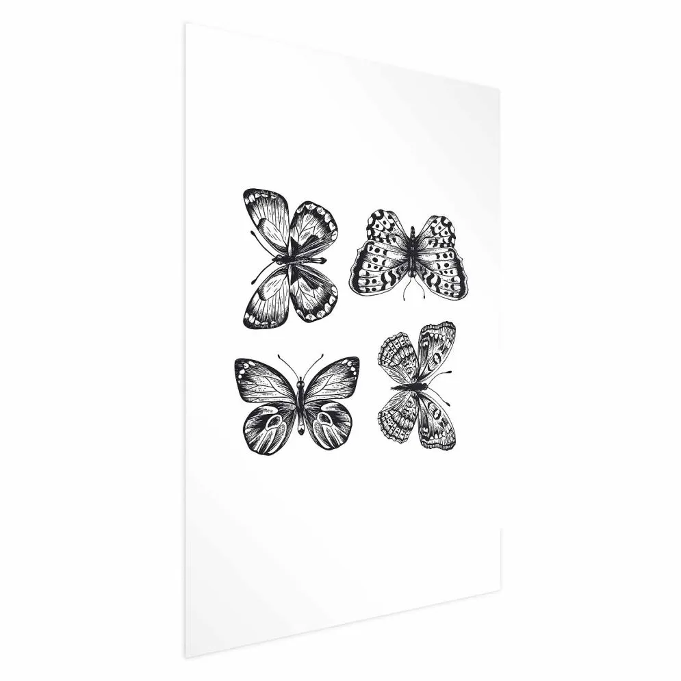 Plakat Cztery motyle 60x90 cm bez ramy bez marginesu | MIRAT.