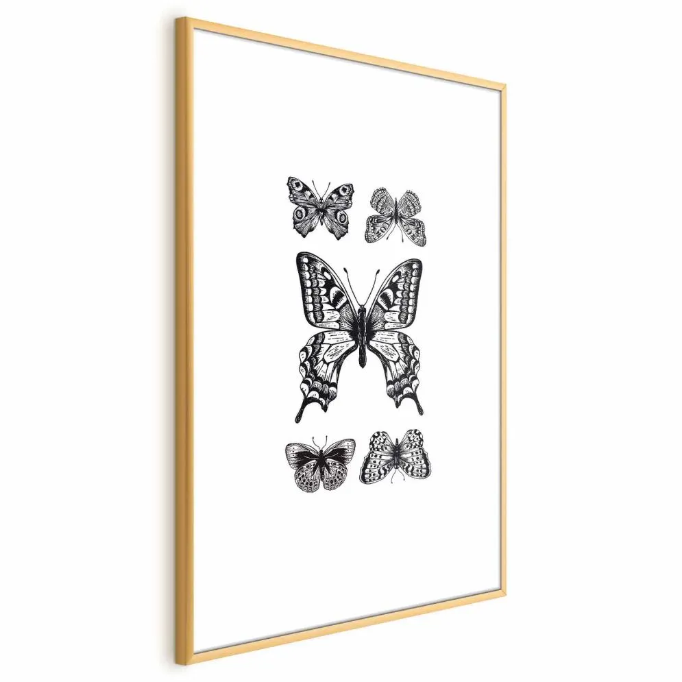 Plakat Pięć motyli 21x30 cm z ramą złotą z marginesem | MIRAT.