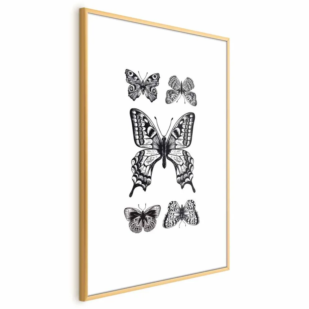 Plakat Pięć motyli 21x30 cm z ramą złotą bez marginesu | MIRAT.