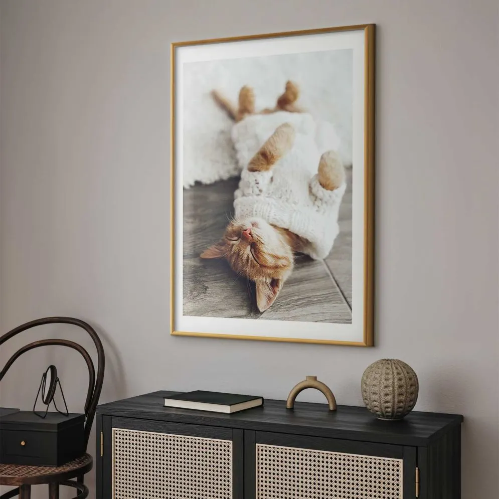 Plakat Leniwy kot 29,7x42 cm z ramą złotą z marginesem | MIRAT.