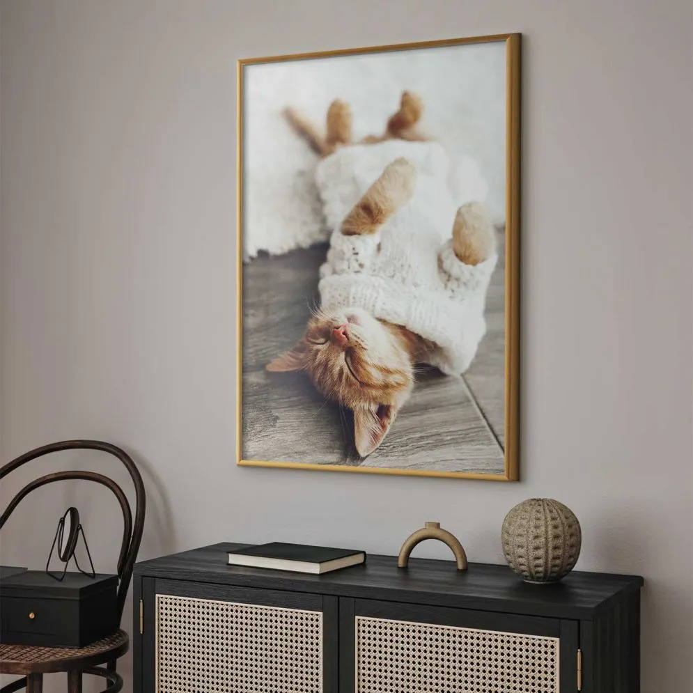 Plakat Leniwy kot 29,7x42 cm z ramą złotą bez marginesu | MIRAT.