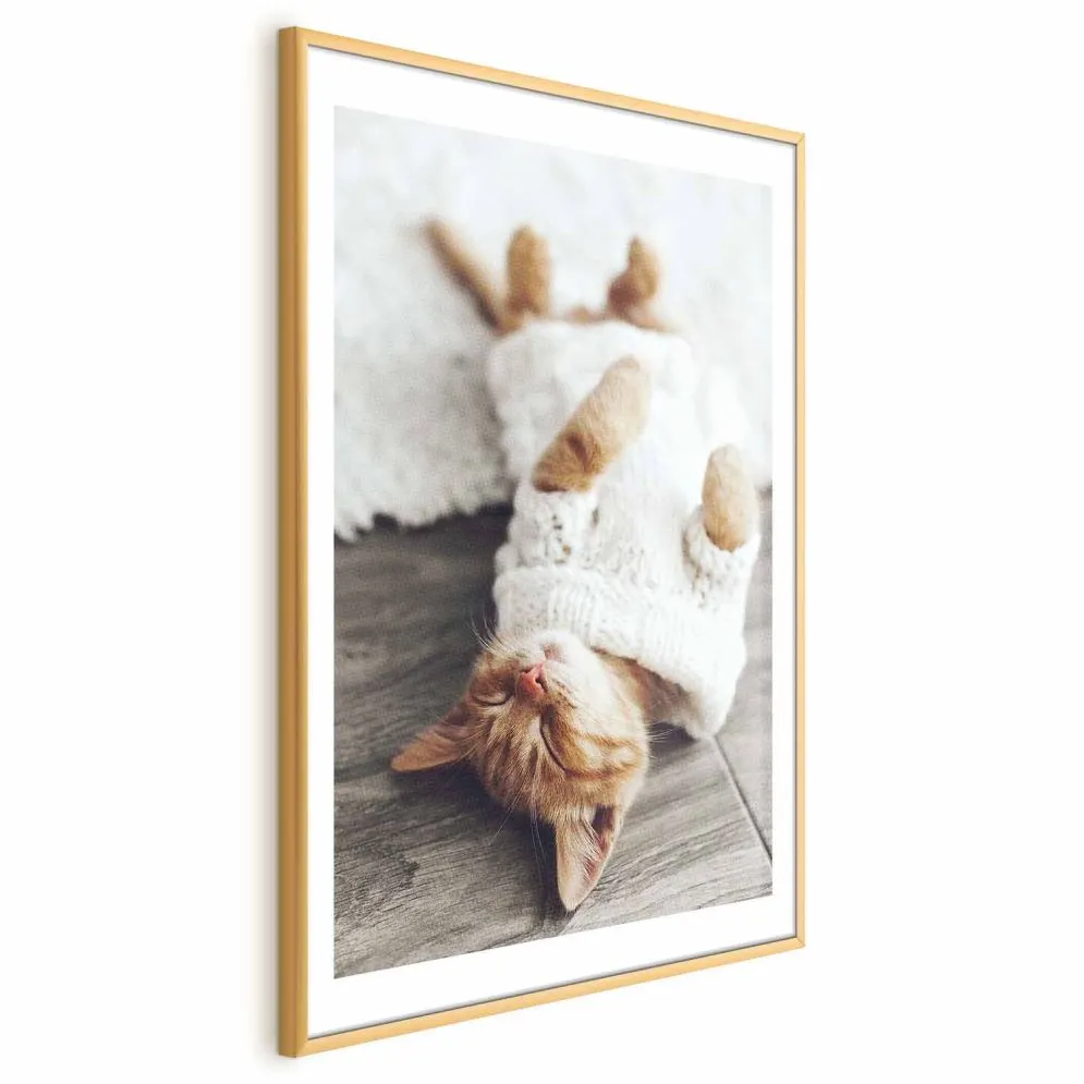 Plakat Leniwy kot 29,7x42 cm z ramą złotą z marginesem | MIRAT.