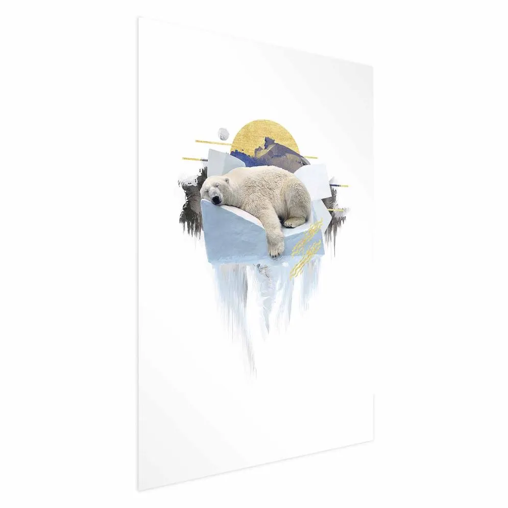 Plakat Niedźwiedź polarny 29,7x42 cm bez ramy z marginesem | MIRAT.