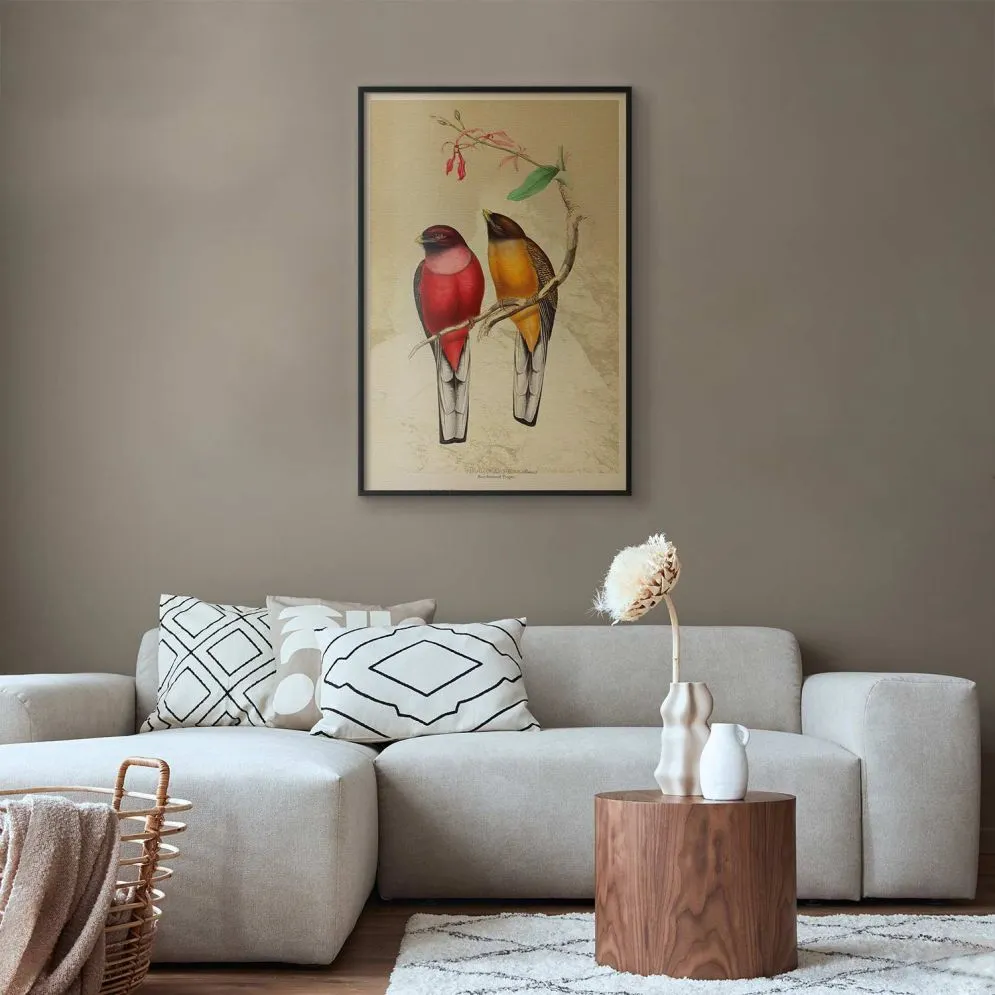 Plakat Ptaki na gałązce 40x60 cm z ramą czarną bez marginesu | MIRAT.