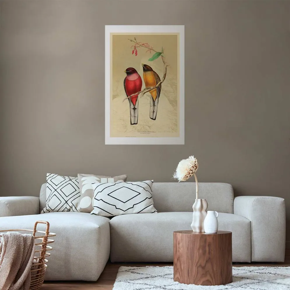 Plakat Ptaki na gałązce 40x60 cm bez ramy z marginesem | MIRAT.