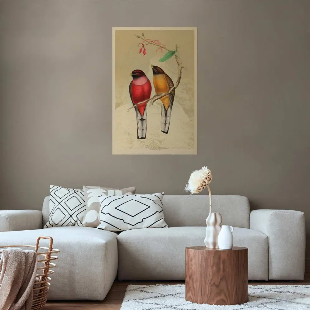 Plakat Ptaki na gałązce 60x90 cm bez ramy bez marginesu | MIRAT.