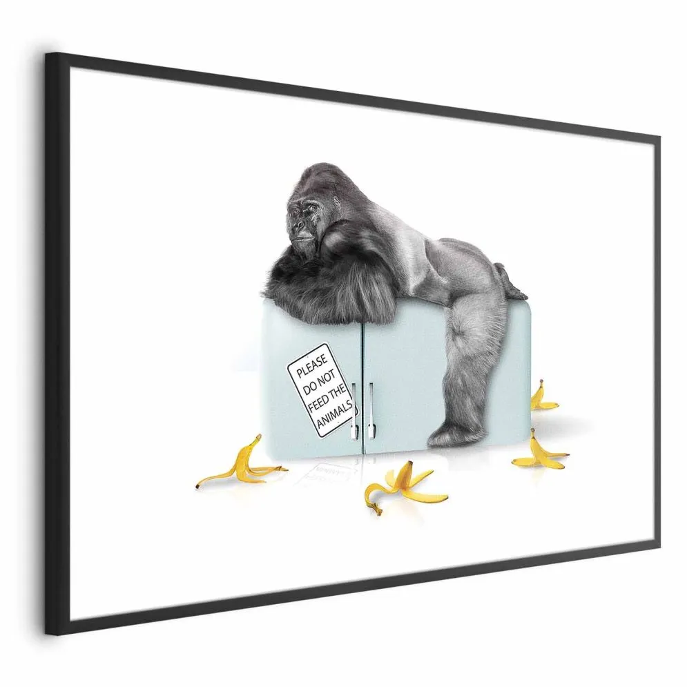 Plakat Głodny goryl 90x60 cm z ramą czarną z marginesem | MIRAT.