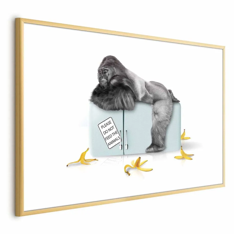 Plakat Głodny goryl 60x40 cm z ramą złotą z marginesem | MIRAT.