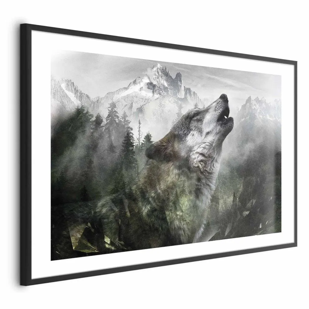 Plakat Wyjący wilk 42x29,7 cm z ramą czarną z marginesem | MIRAT.
