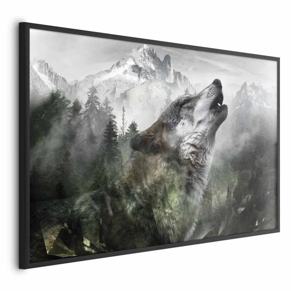 Plakat Wyjący wilk 60x40 cm z ramą czarną bez marginesu | MIRAT.