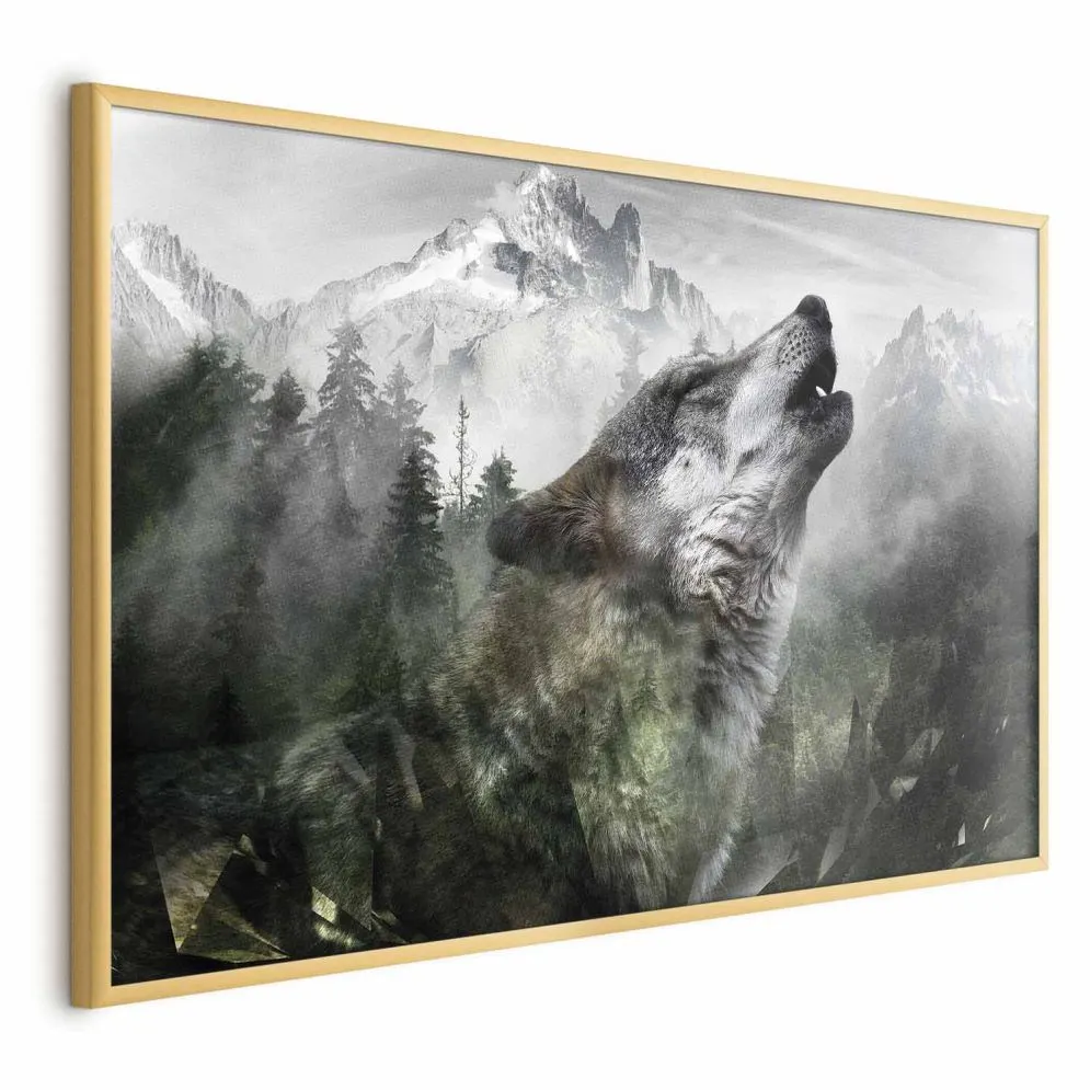 Plakat Wyjący wilk 90x60 cm z ramą złotą bez marginesu | MIRAT.